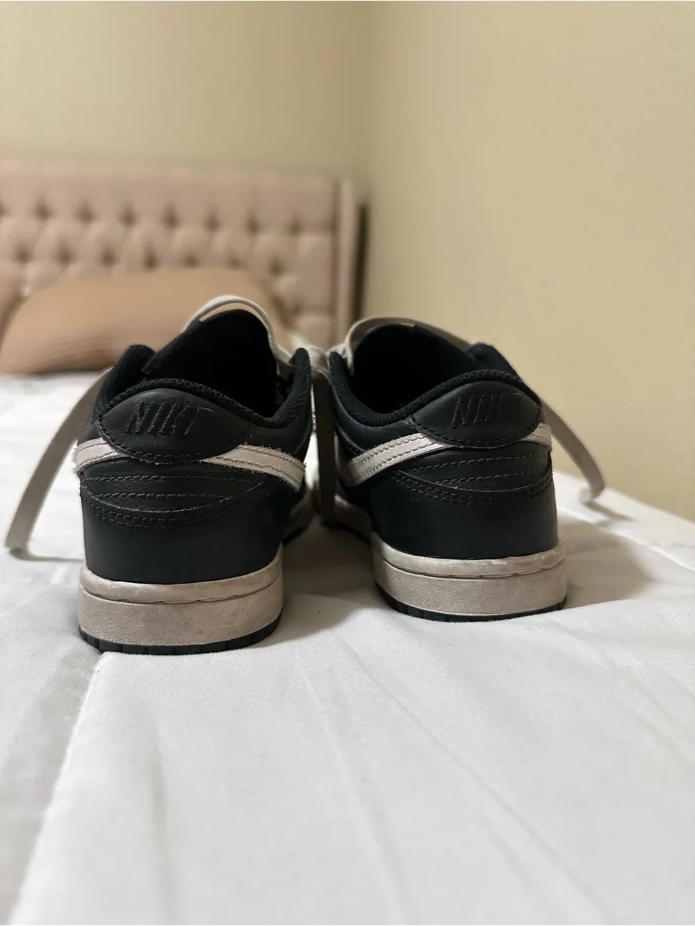 Nike Dunks Kids Low-Top Sneakers